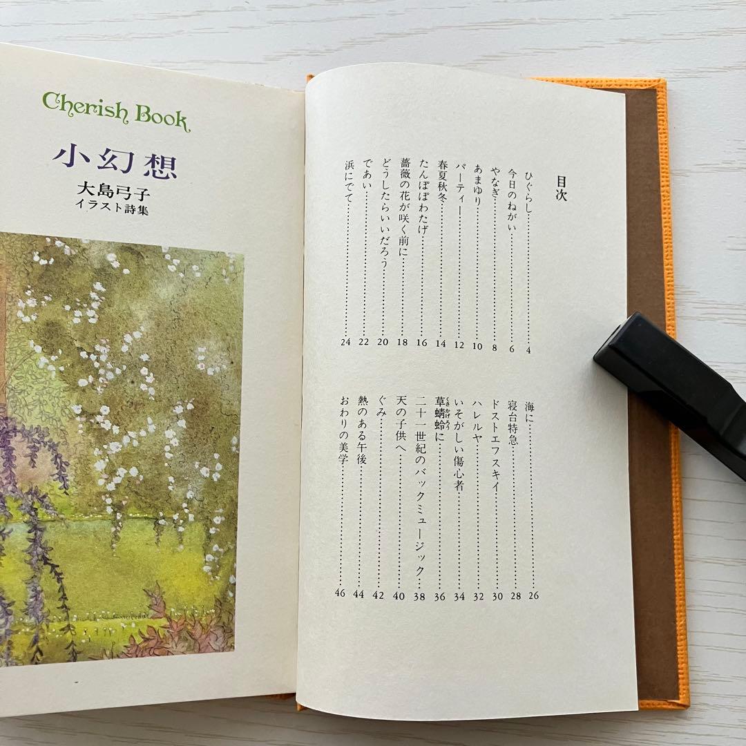 小幻想 大島弓子 イラスト詩集　初版本