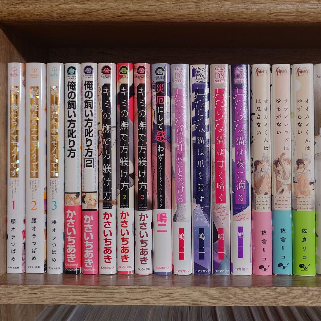 BL漫画　まとめ売り　54冊