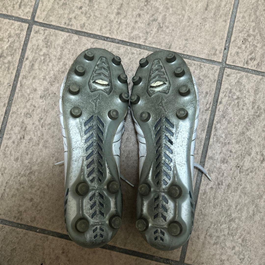 ミズノモナルシーダ