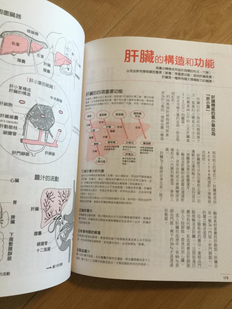 中国語・医学書・医療・医学・解剖・治療