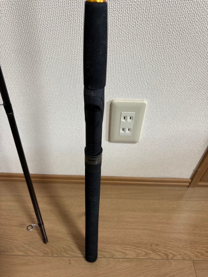 ダイワ　ルアーニスト　96m シーバス　サーフ　スピニング　DAIWA