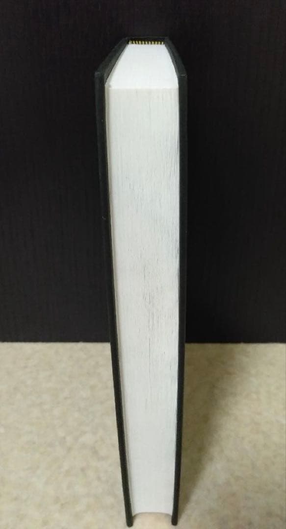洋書 HOLY BIBLE ENGLISH STANDARD VERSION