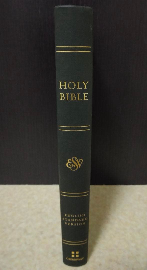 洋書 HOLY BIBLE ENGLISH STANDARD VERSION