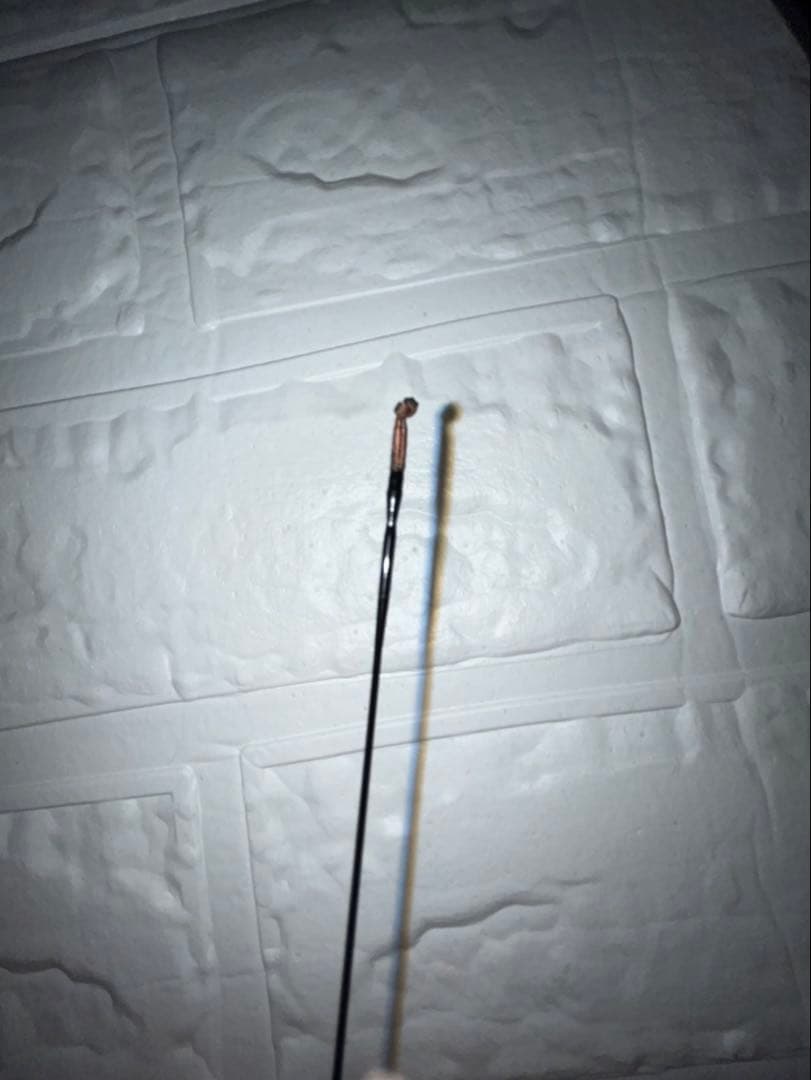 【廃盤品】 DAIWA 枯法師 天成 10尺 ヘラブナ 竿