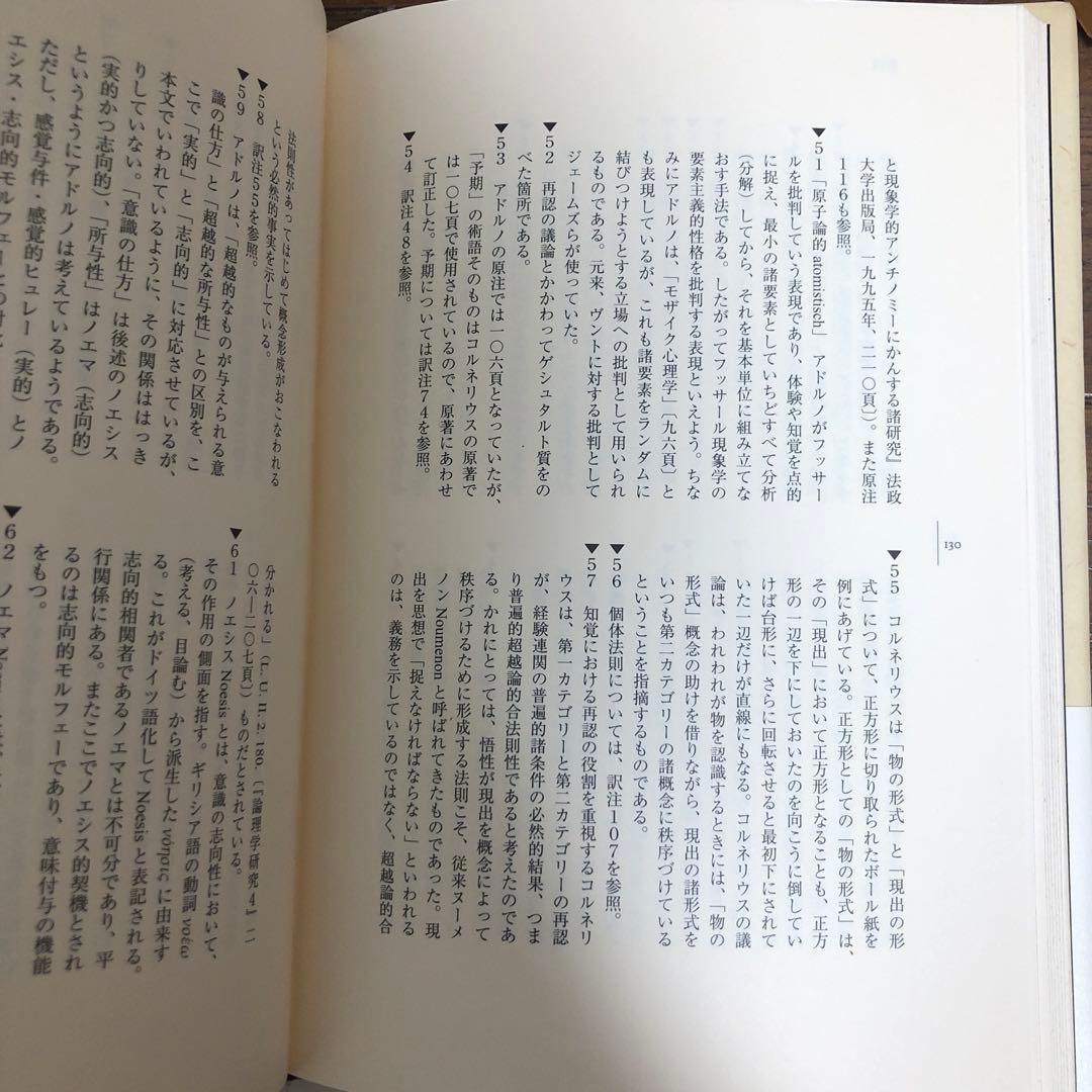 フッサール現象学における物的ノエマ的なものの超越