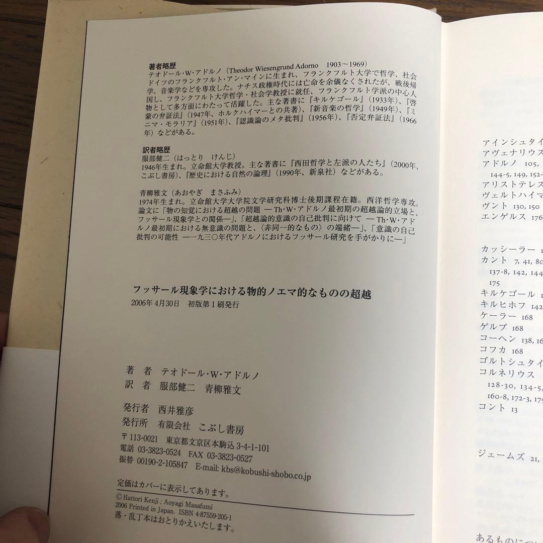フッサール現象学における物的ノエマ的なものの超越