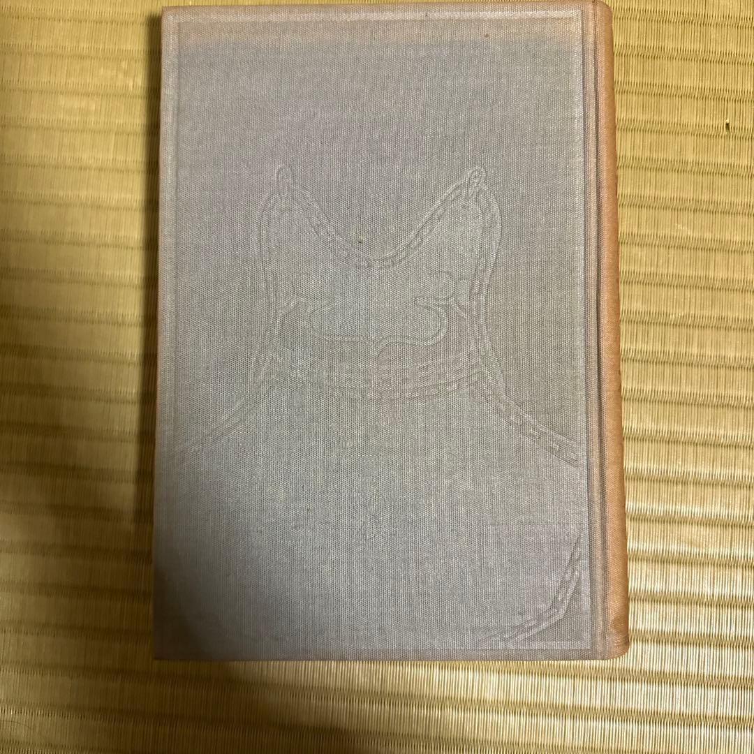 日本剣道と西洋剣技