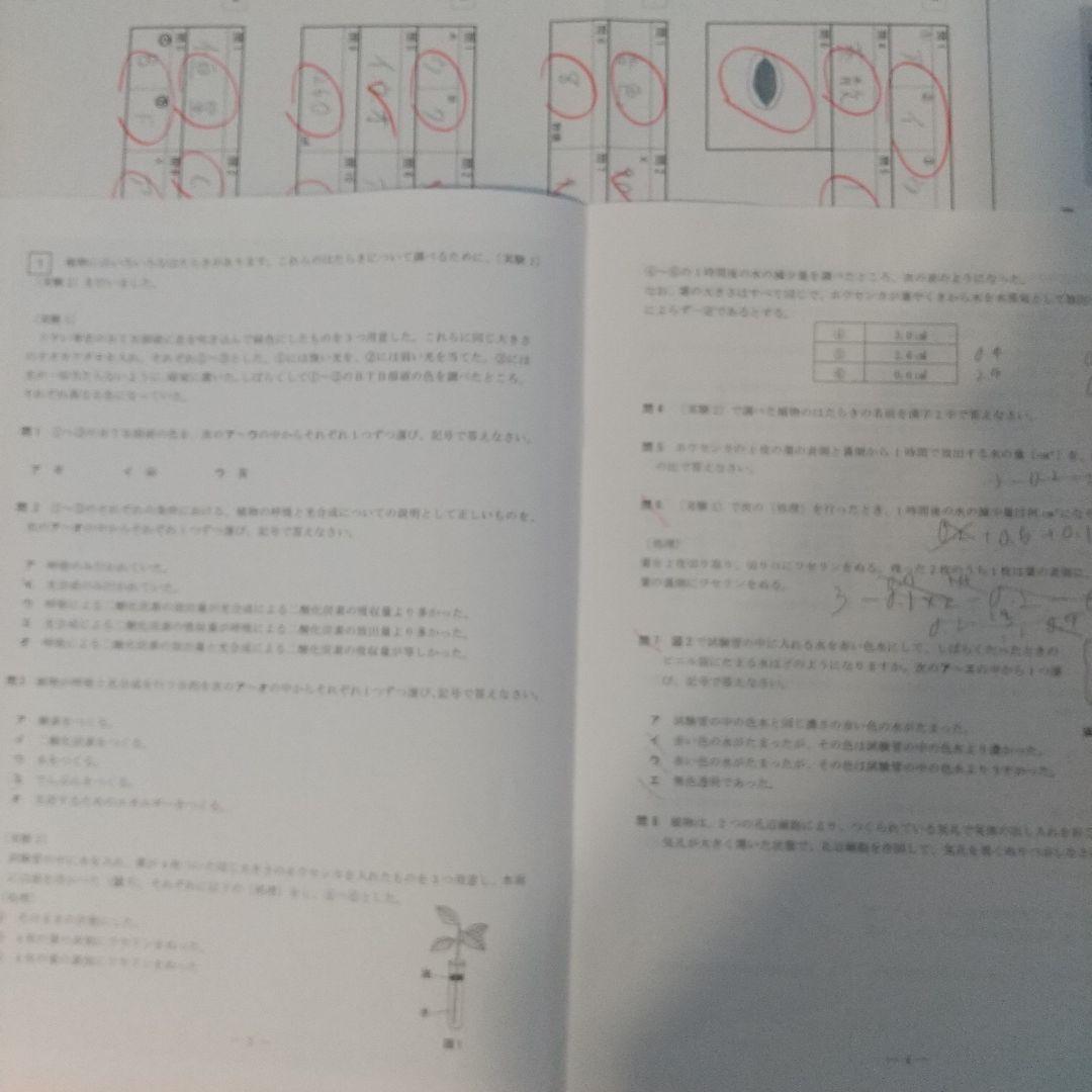 2024年度　NN早大学院そっくりテスト5本勝負&プラス1(6回分すべて)