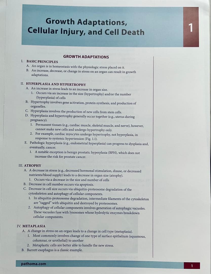 病理学 PATHOMA: Pathology USMLE STEP REVIEW