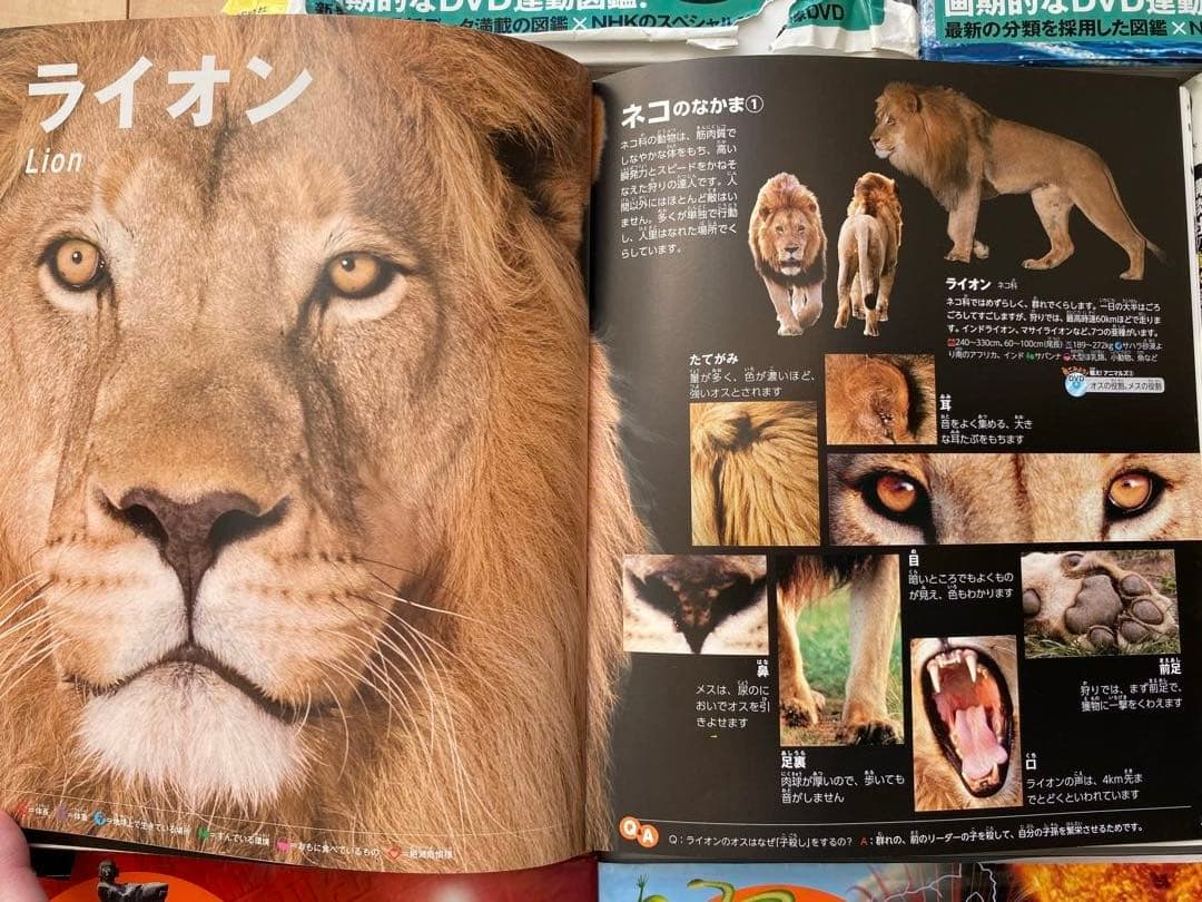 講談社の動く図鑑MOVE DVD付き 11冊セット