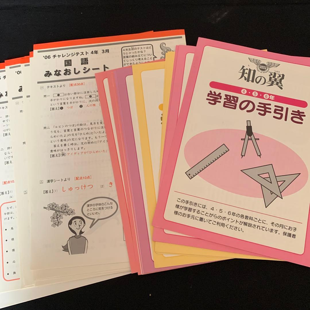 大量！日能研　知の翼　小4　中学受験　中学入試　受験対策　御三家